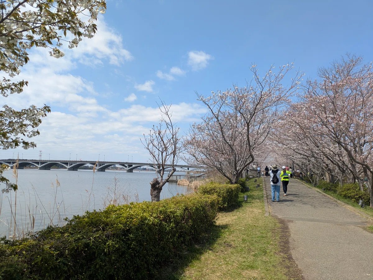 🏞️ 테가누마 친수광장・물의 관(테가누마 신스이 히로바・미즈노 야카타) 이미지 7